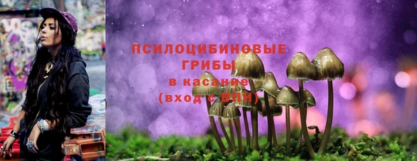 твердый Алексеевка