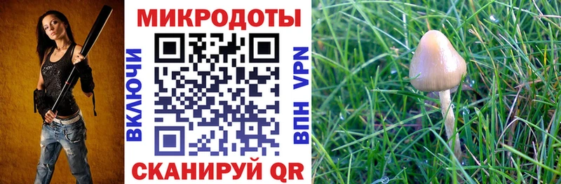 блэк спрут вход  Карабаш  Галлюциногенные грибы мухоморы 